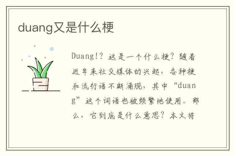 duang又是什么梗